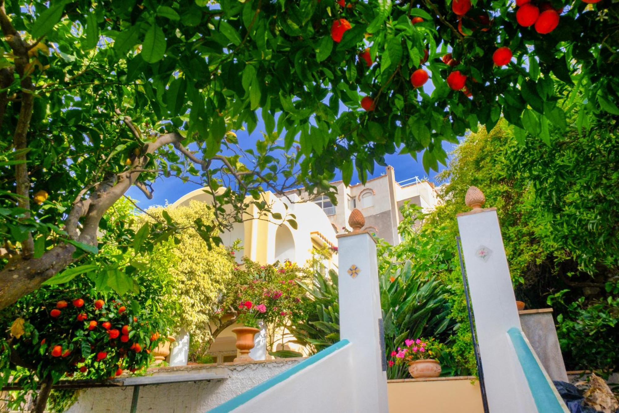 Villa Dorothee 카프리 외부 사진
